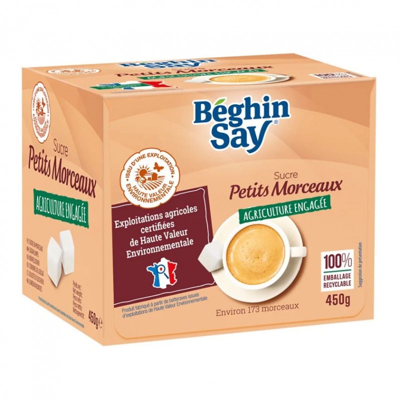 BEGHIN SAY Sucre en petits morceaux HVE 450g